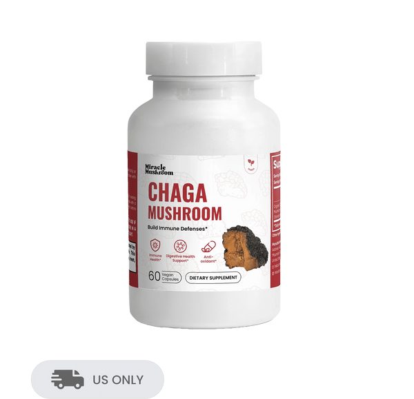 Chaga Mushroom