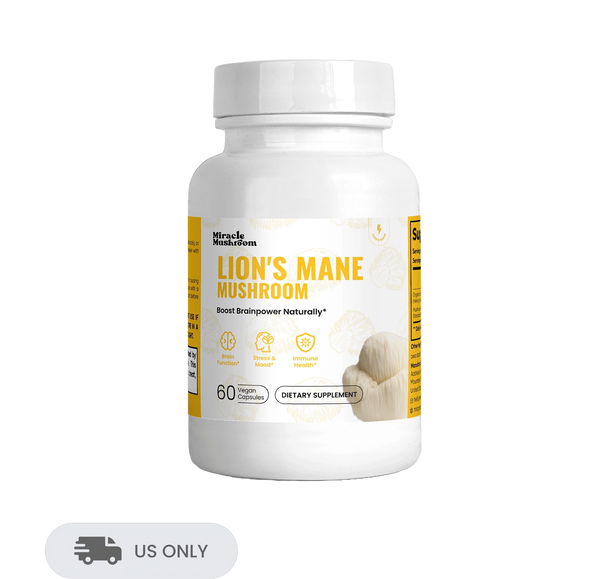 Lion's Mane Mushroom